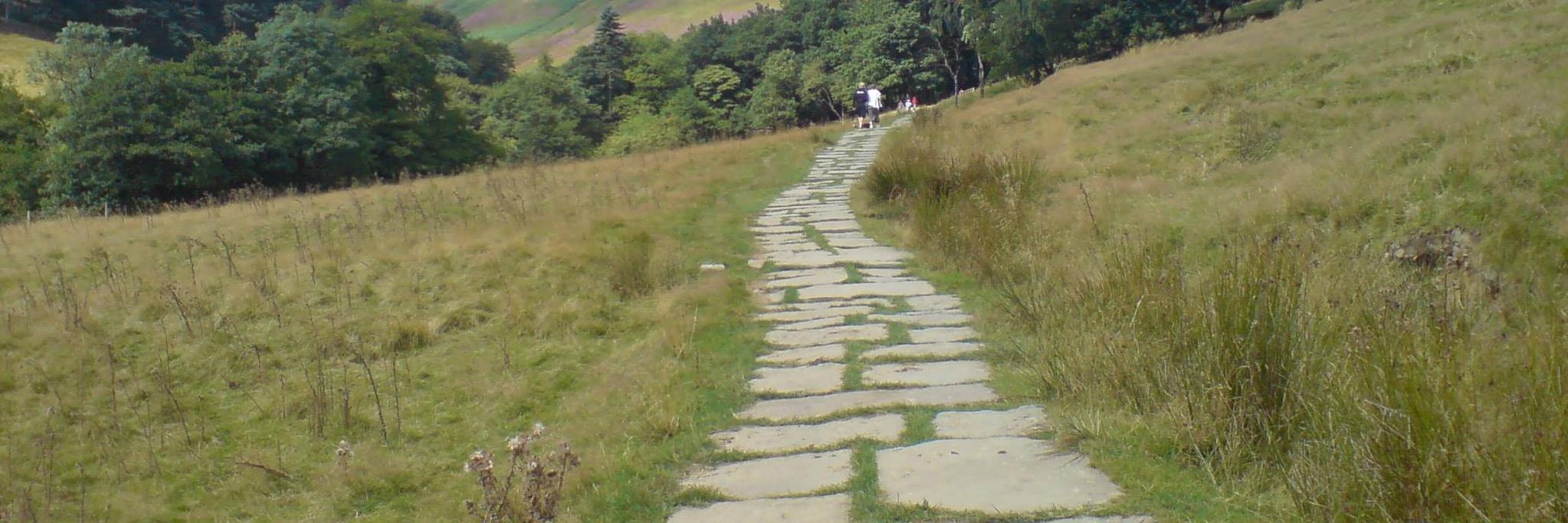 Paul Turpin 💚♻️ banner