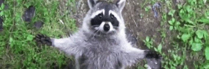 Petsah_'s profile banner image