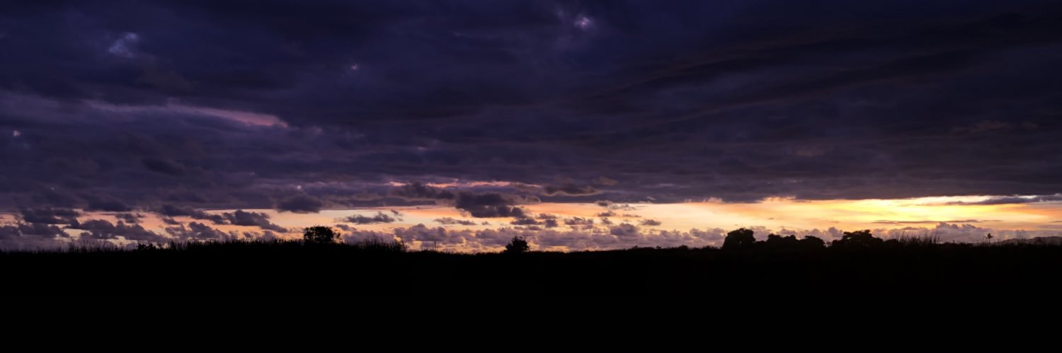 arsiprain's profile banner image