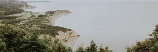 Levidurston's profile banner image