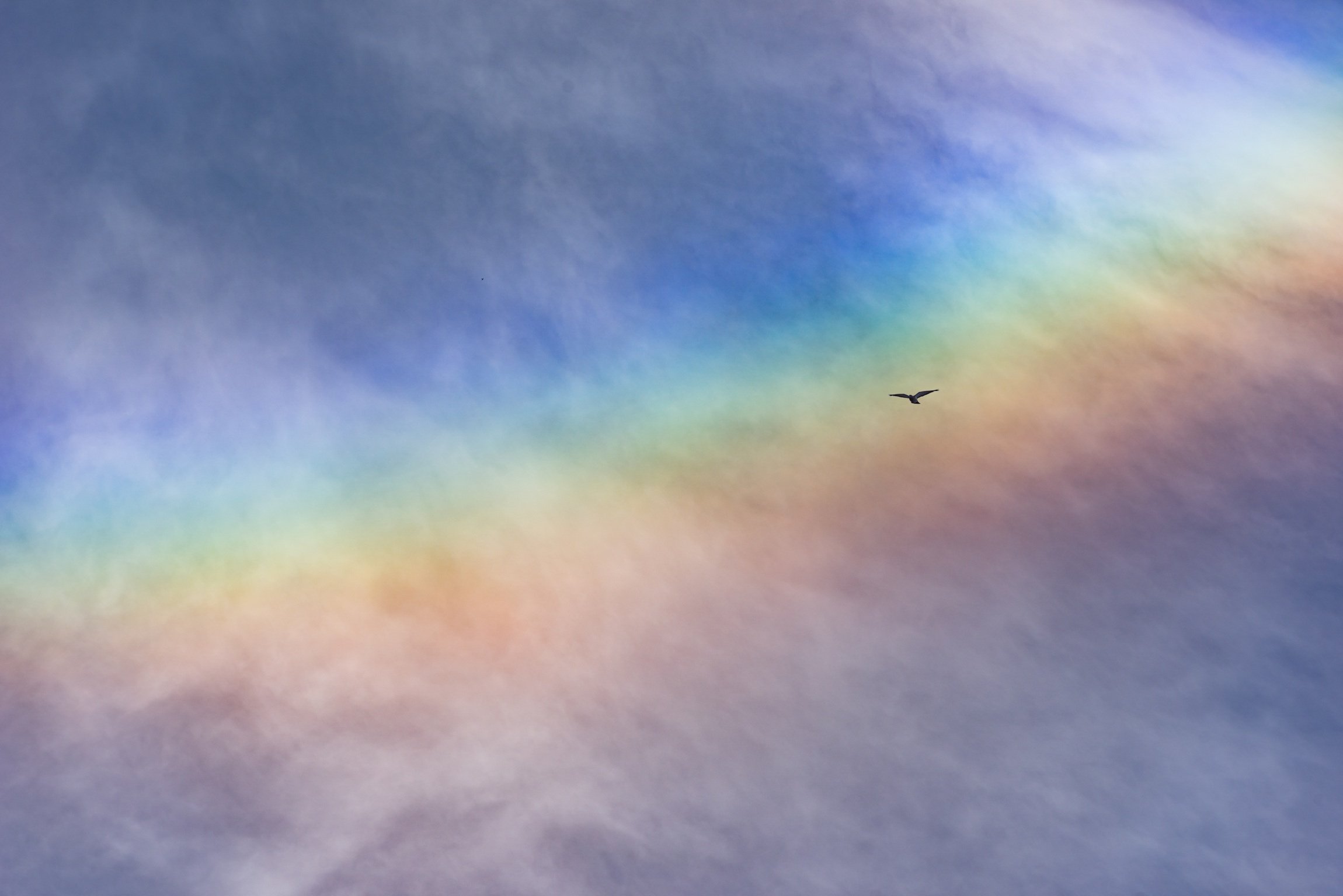 star_pride's profile banner image