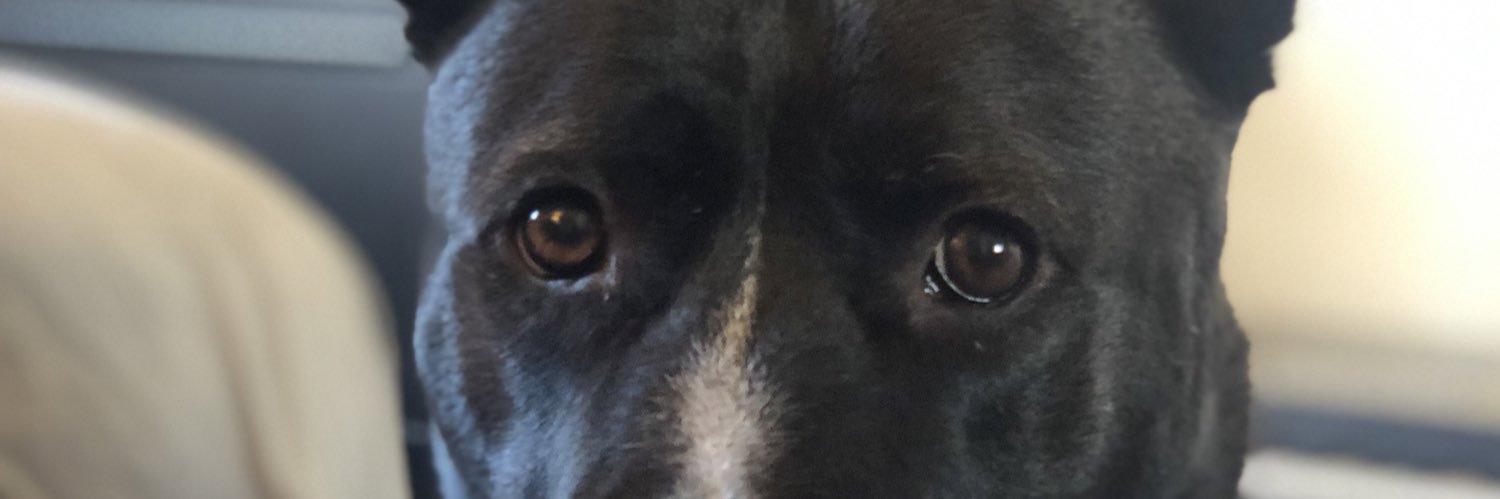 omarwilder3's profile banner image