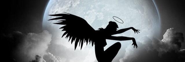 framerrk's profile banner image
