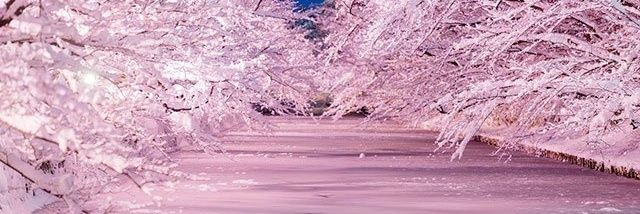 343Minami's profile banner image
