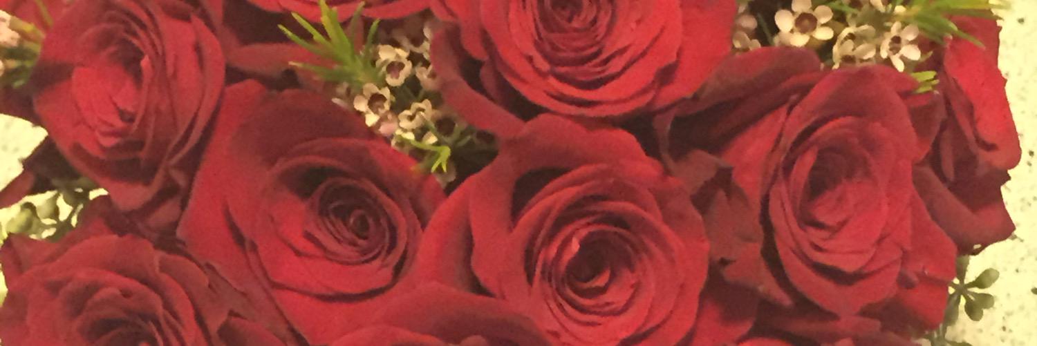 randikoro's profile banner image