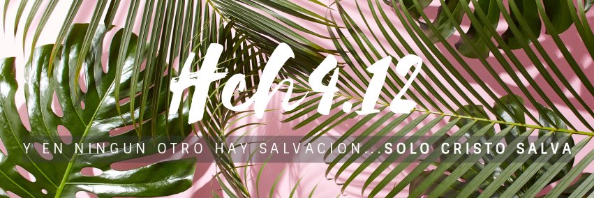 scshch412's profile banner image