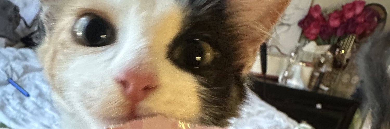 loccaammm's profile banner image