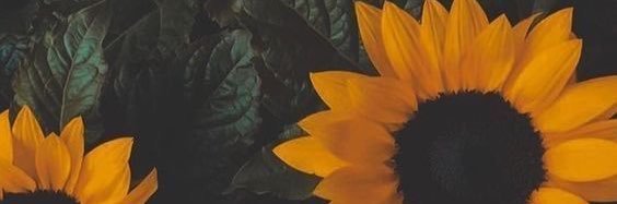 angieLGlez's profile banner image