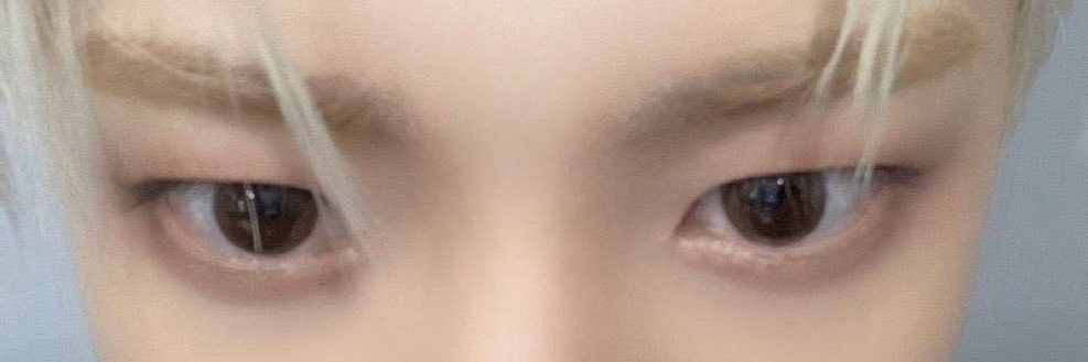 HongjoongsDumpy's profile banner image