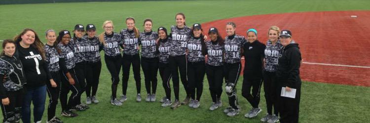 PermianSoftball's profile banner image