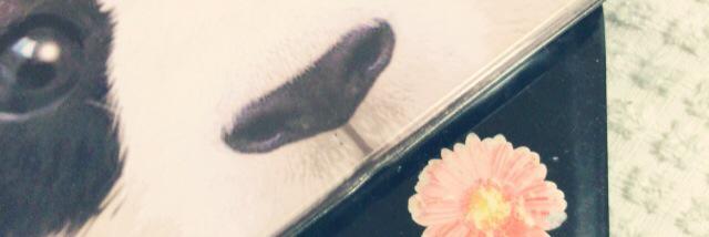 tinn7793's profile banner image