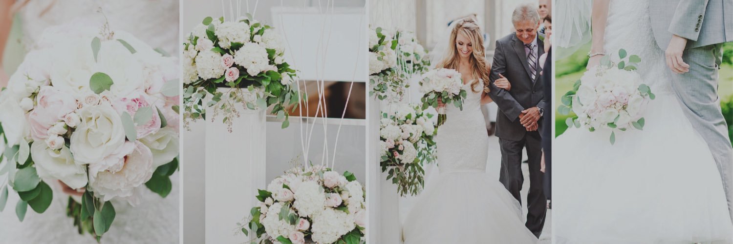Sophie Branchaud banner