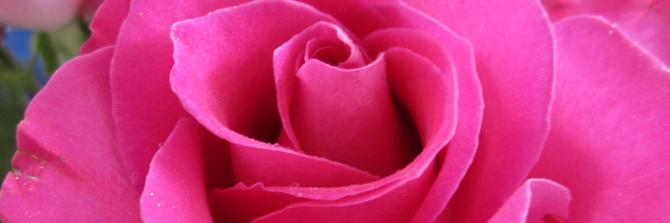 keriannee's profile banner image