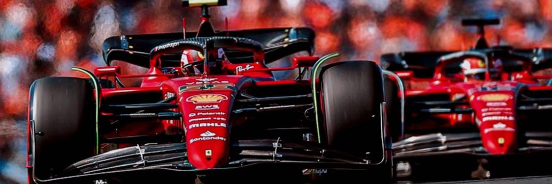 Sergi banner