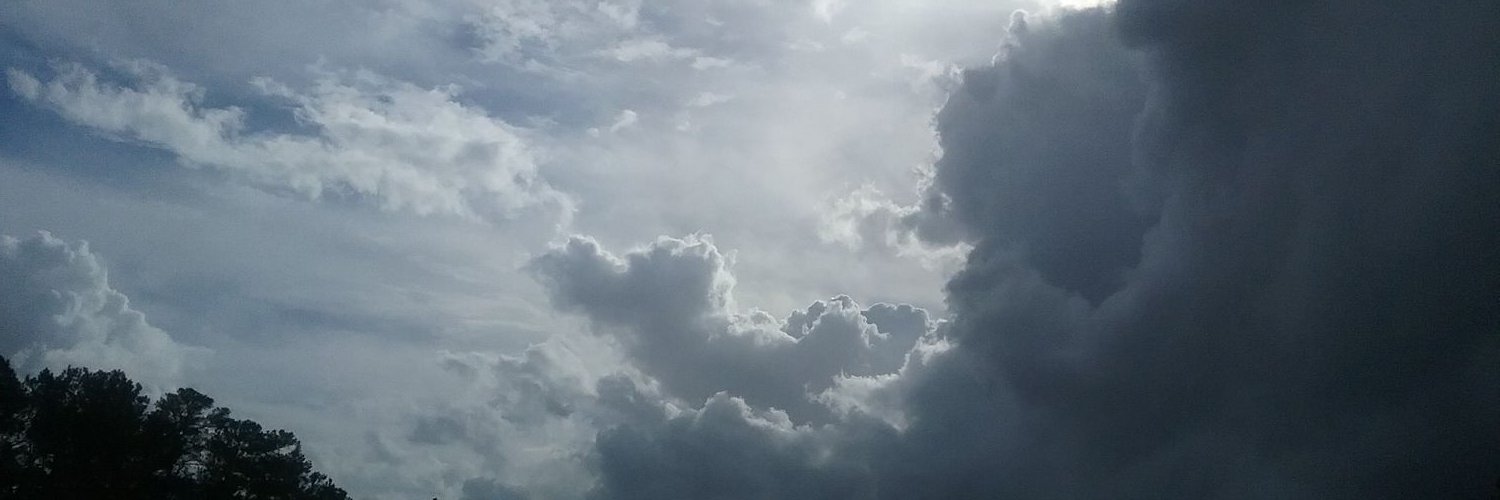 JoyceFullerton's profile banner image