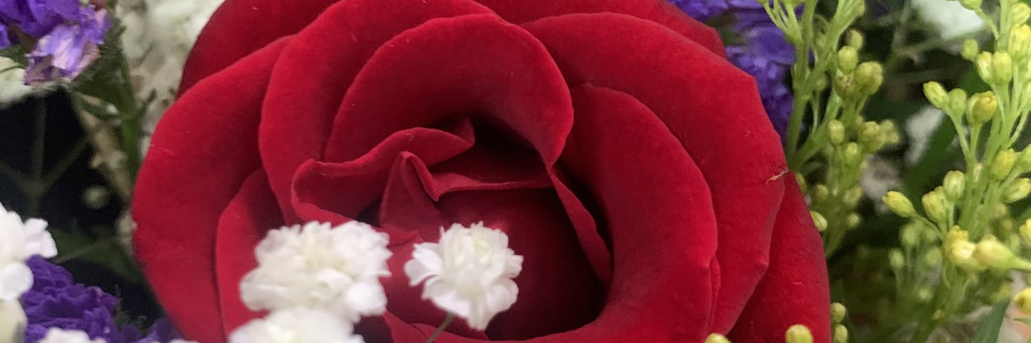FrhanGhazaley's profile banner image