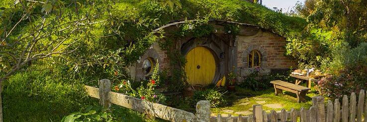 Saranegrini84's profile banner image