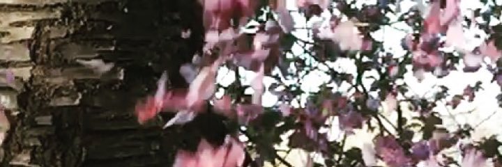 cpickles247's profile banner image