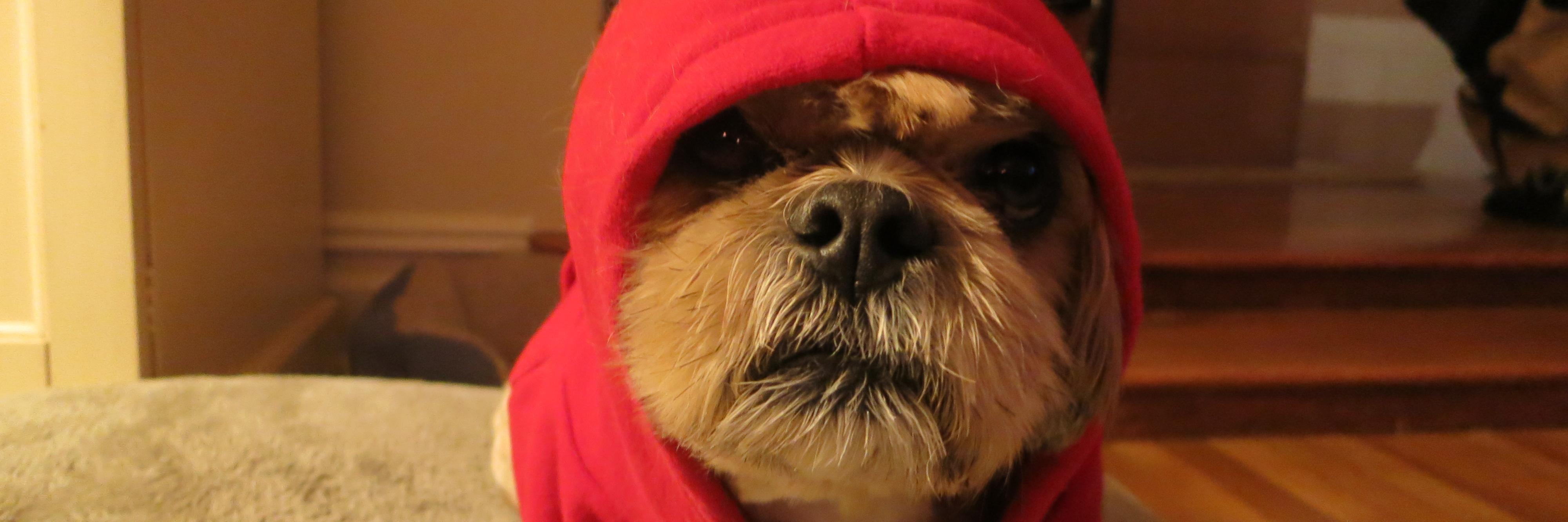 oscarkauffman's profile banner image