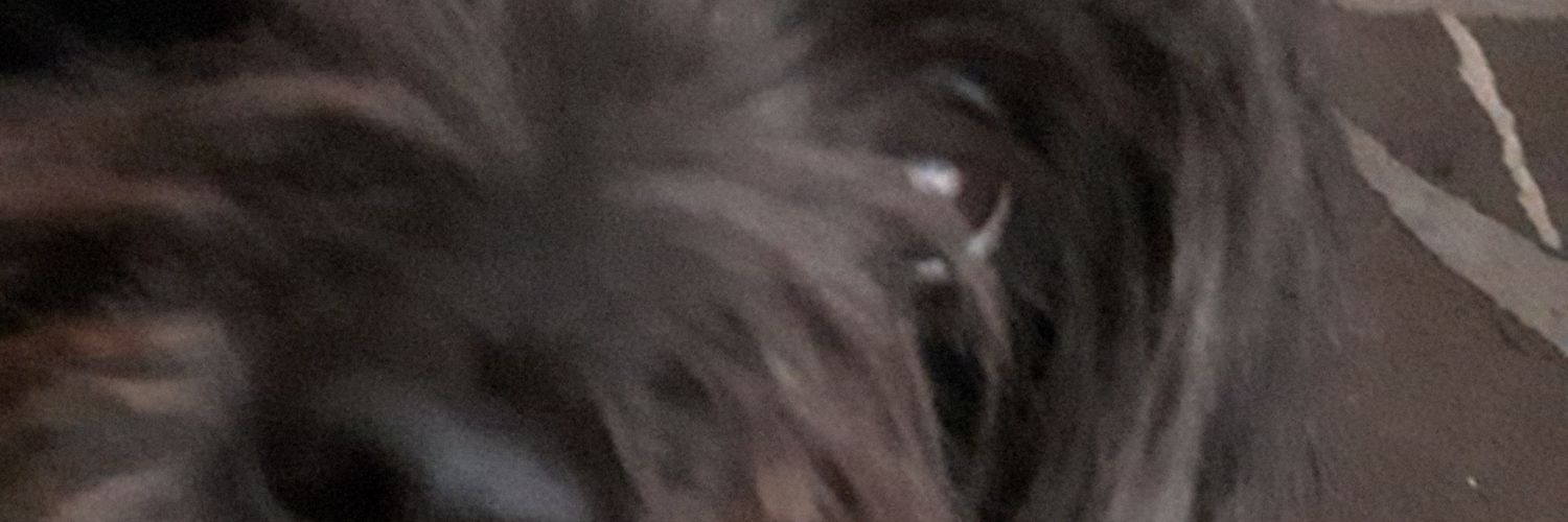 fishandpasta's profile banner image