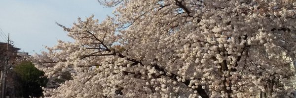 misakomor Profile Banner