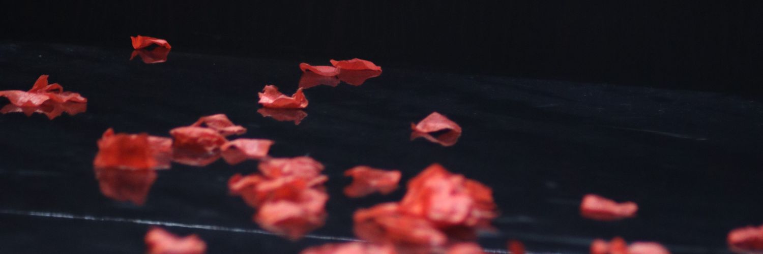 durupic's profile banner image