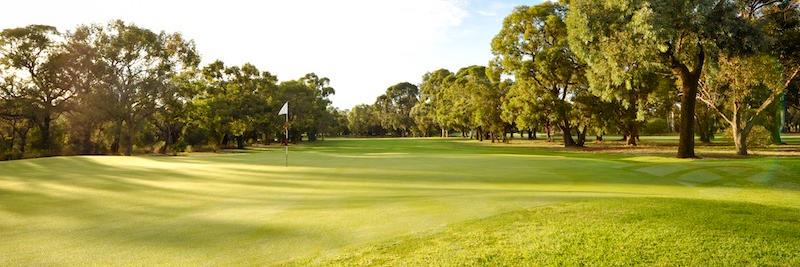 HartfieldCC's profile banner image