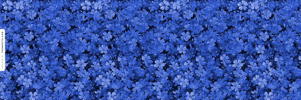 halimurrayy Profile Banner