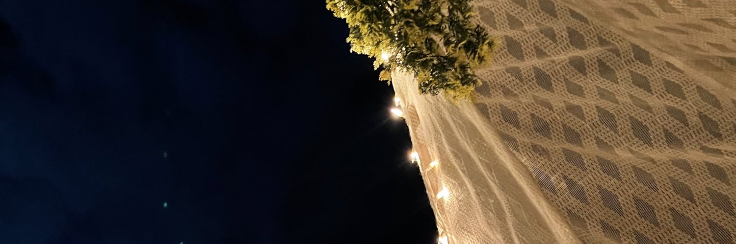 liliethva's profile banner image