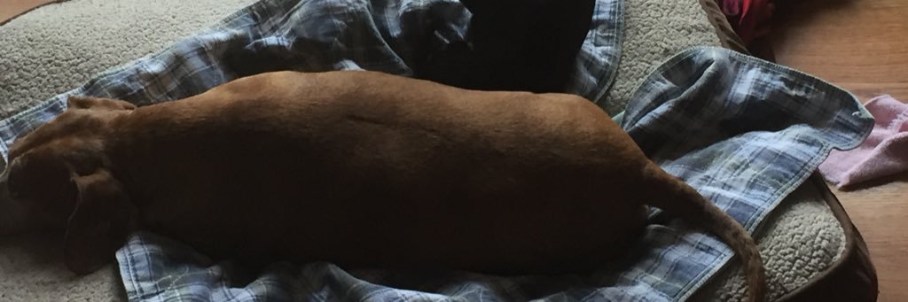 Zandrax's profile banner image