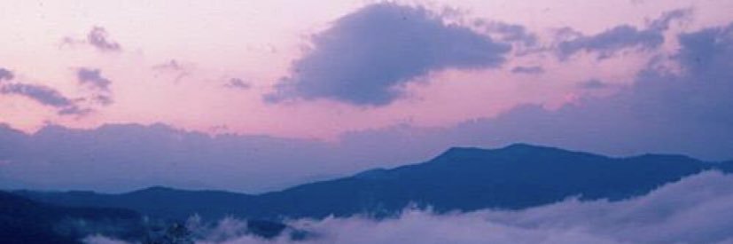 ghostlyalondra's profile banner image