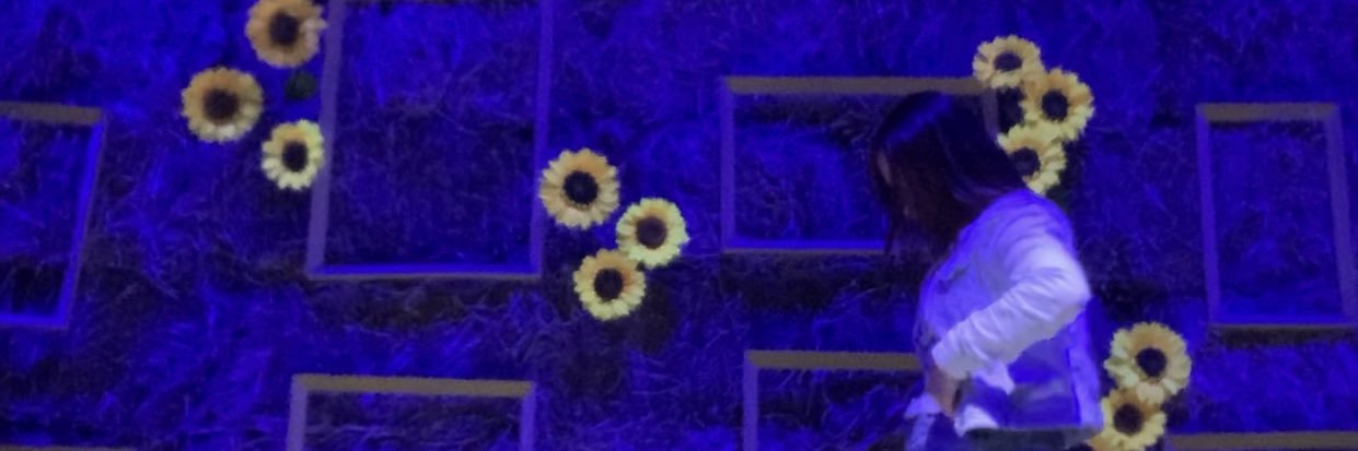 dizquedoc's profile banner image