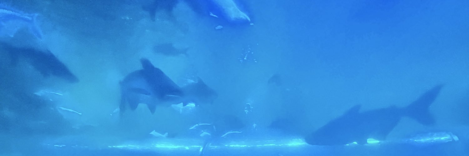 WR_SaNk's profile banner image