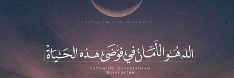 صياد الكلمات banner