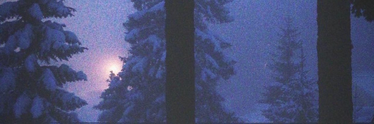 shejlibejli's profile banner image