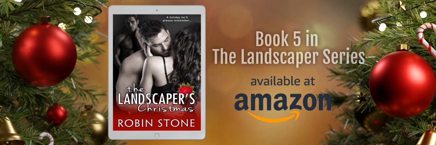 RobinStoneBooks's profile banner image