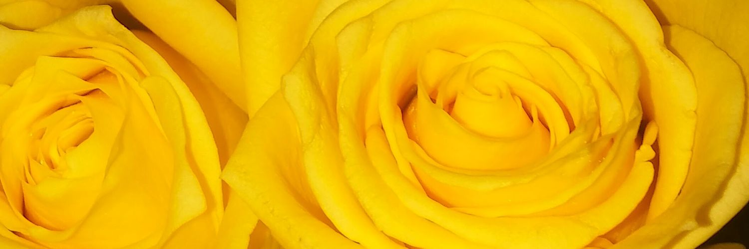 JennKat1978's profile banner image