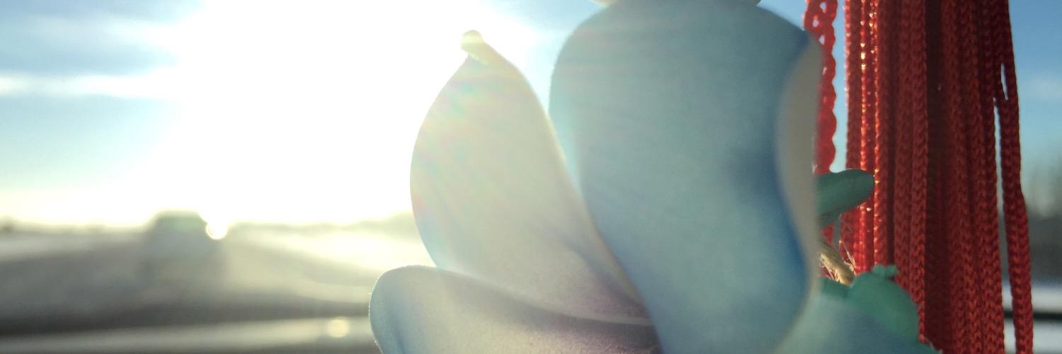 kashfelske's profile banner image