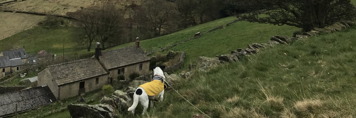 hruthnicholson's profile banner image