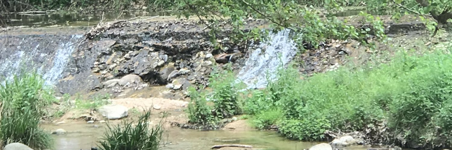 MEScat, Independentistes d’Esquerra, SCFarners banner