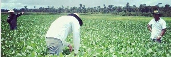 Gu_goncaalves's profile banner image