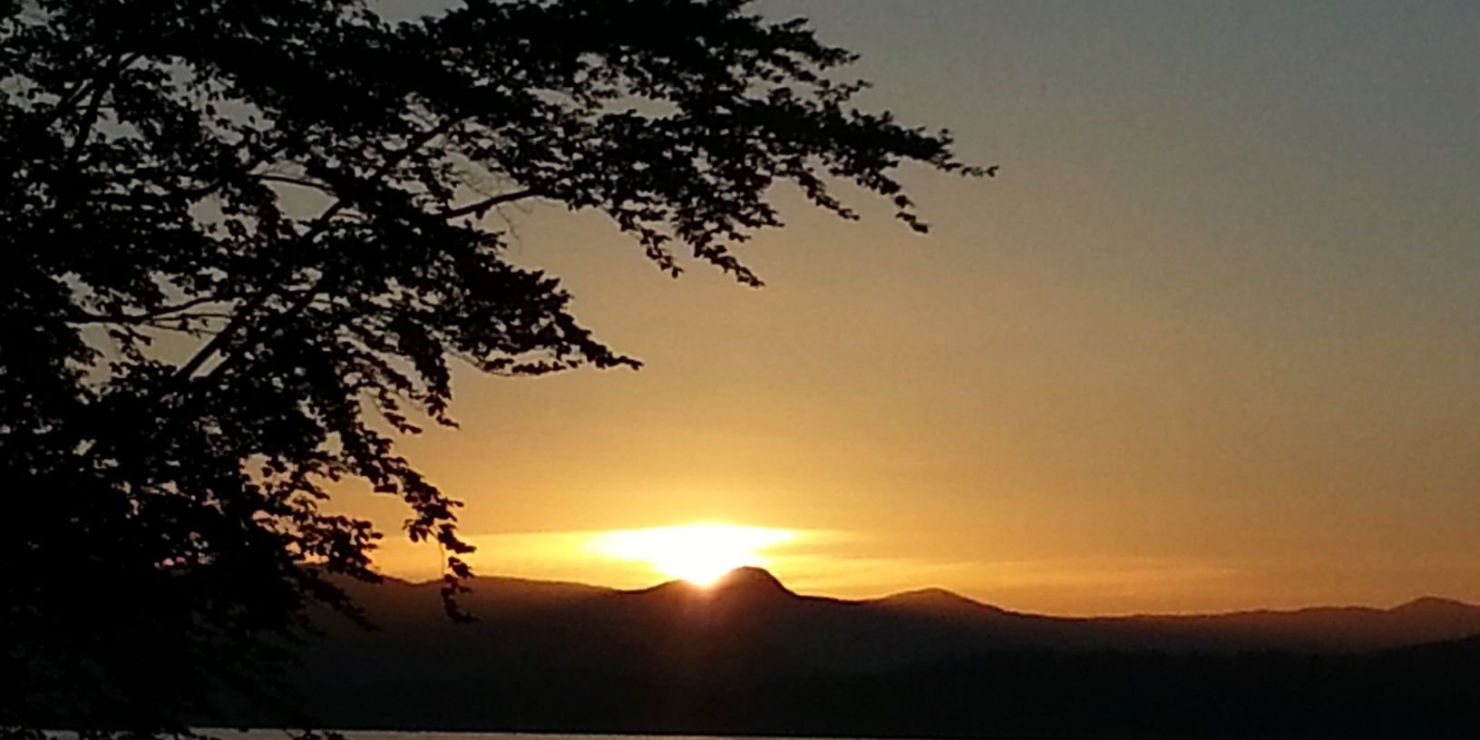 dmorrison25's profile banner image