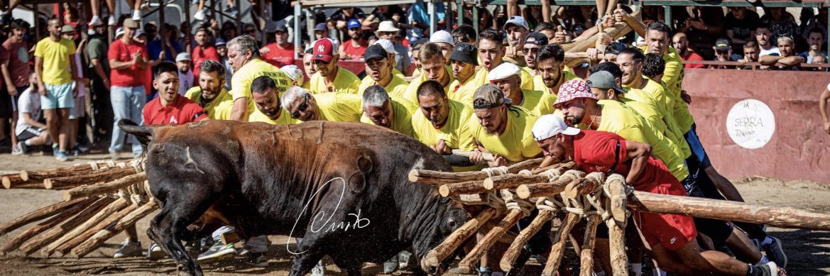 PoteChamp🥇 banner