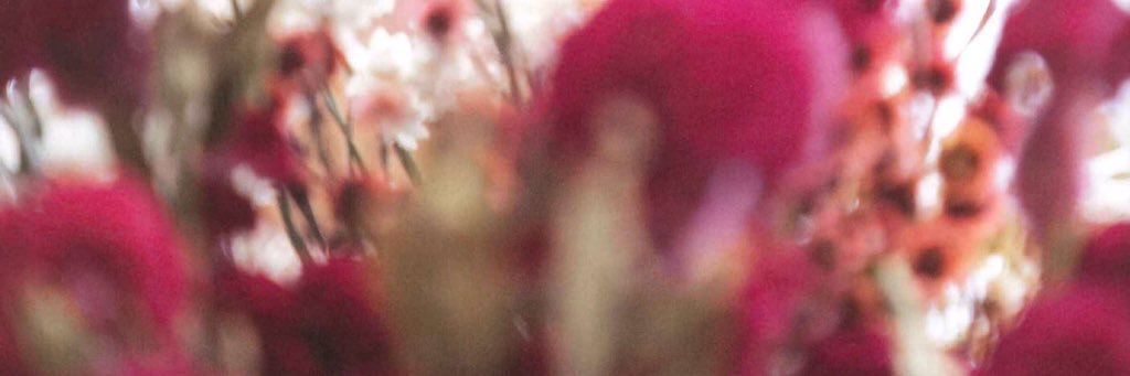 reeeemi_0314's profile banner image