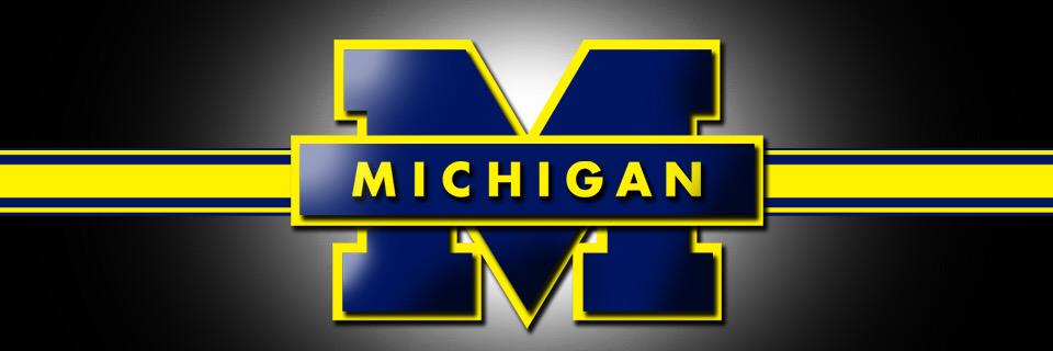 dyleeGoBlue's profile banner image