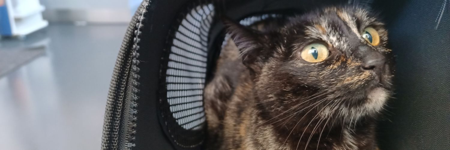 HiRes_Leo's profile banner image