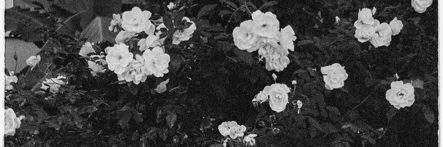 _dannydwyer's profile banner image