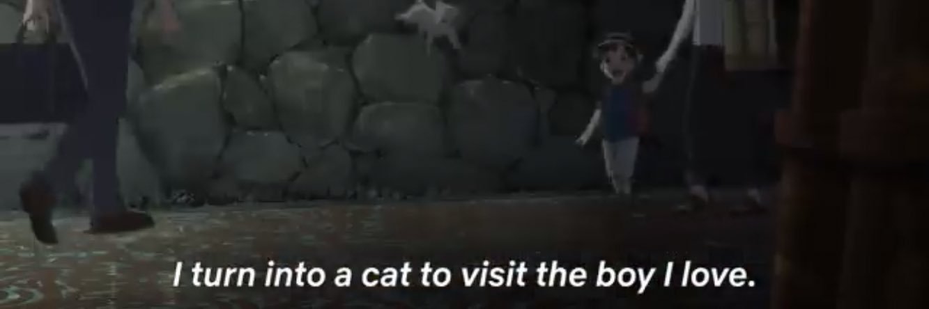 kucingstasiun's profile banner image