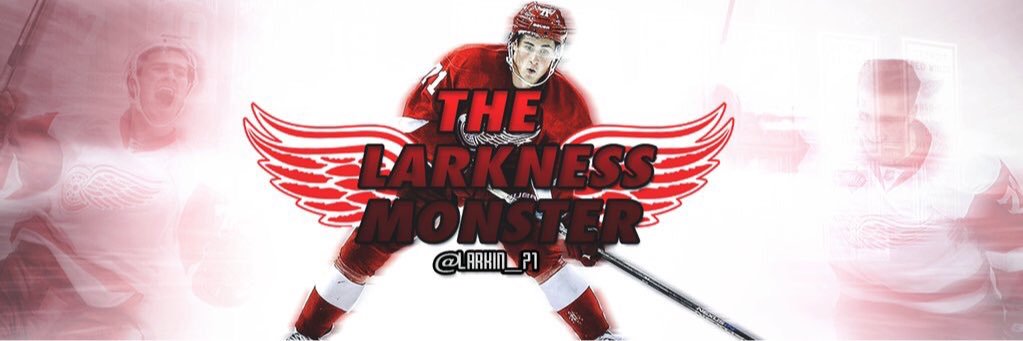 NOT Dylan Larkin banner