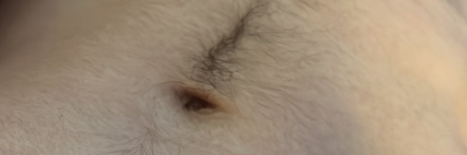 MTBobcatCock's profile banner image
